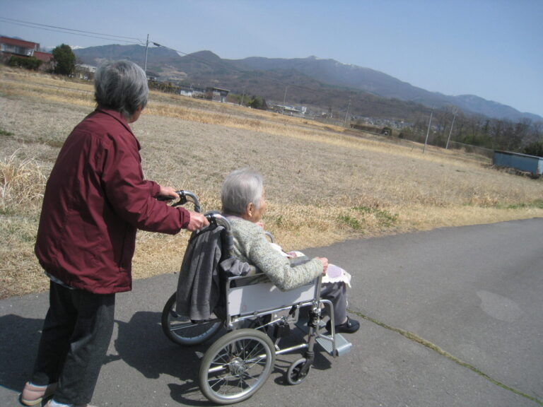 散歩日和が続きます