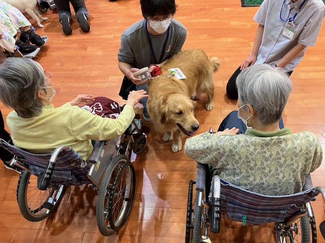 🐶可愛い動物たちに癒されました！🐈🐰