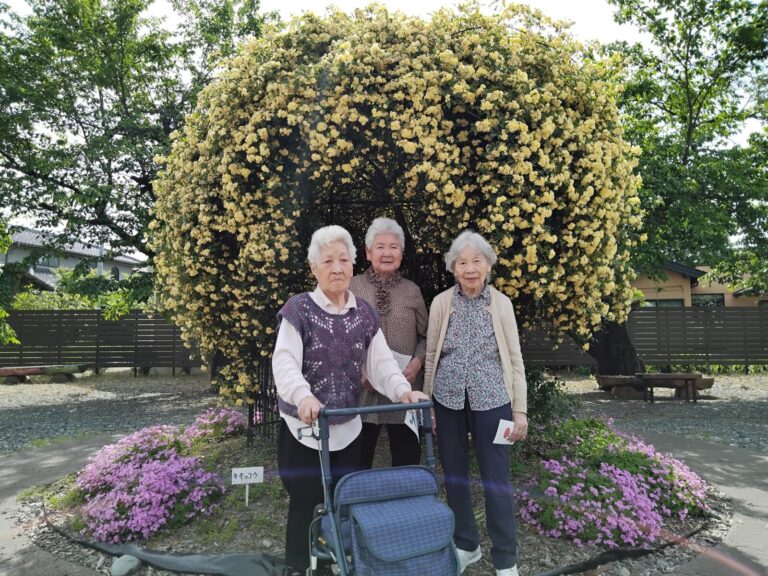 バスハイクで薔薇園へ