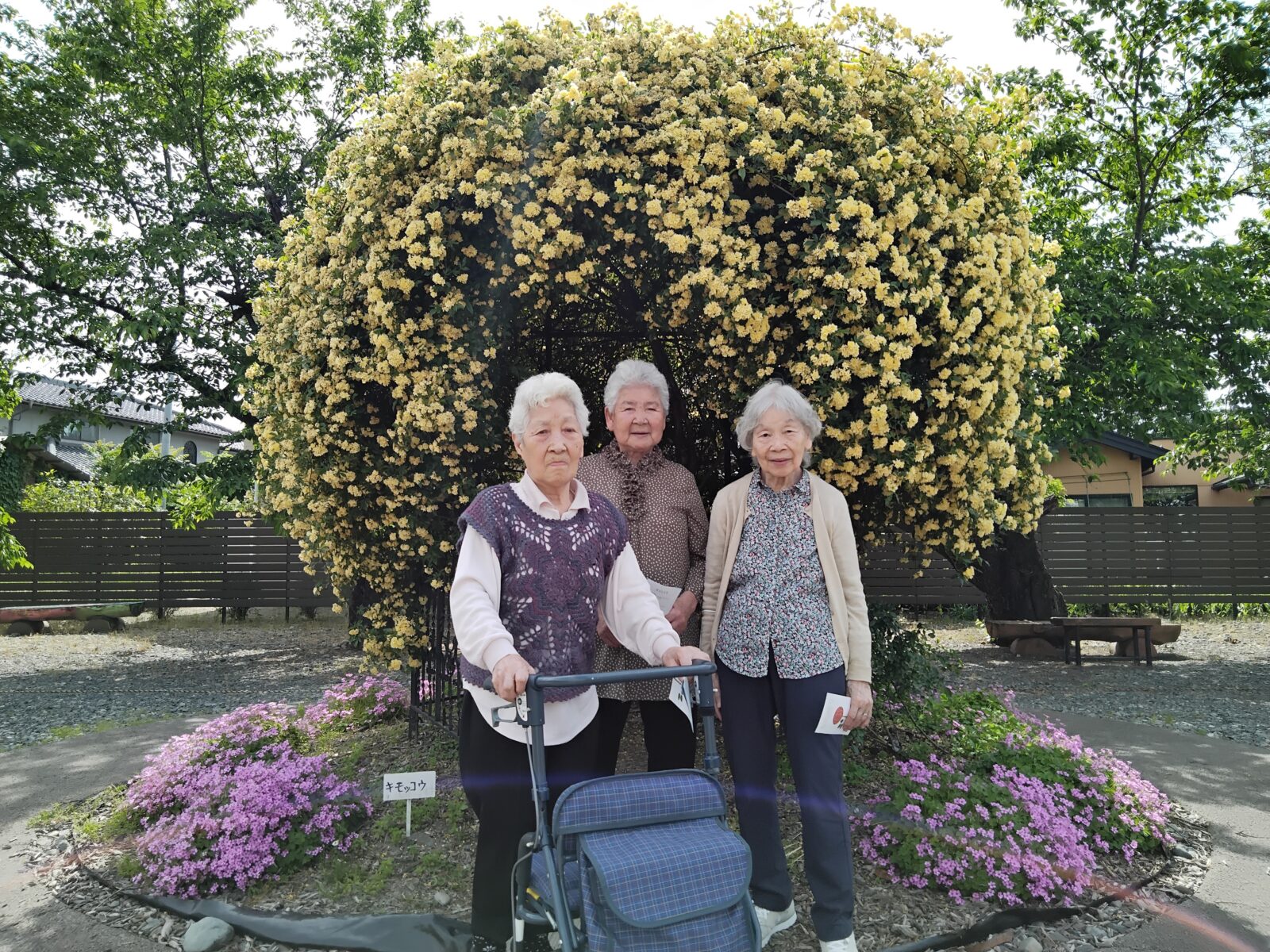 バスハイクで薔薇園へ