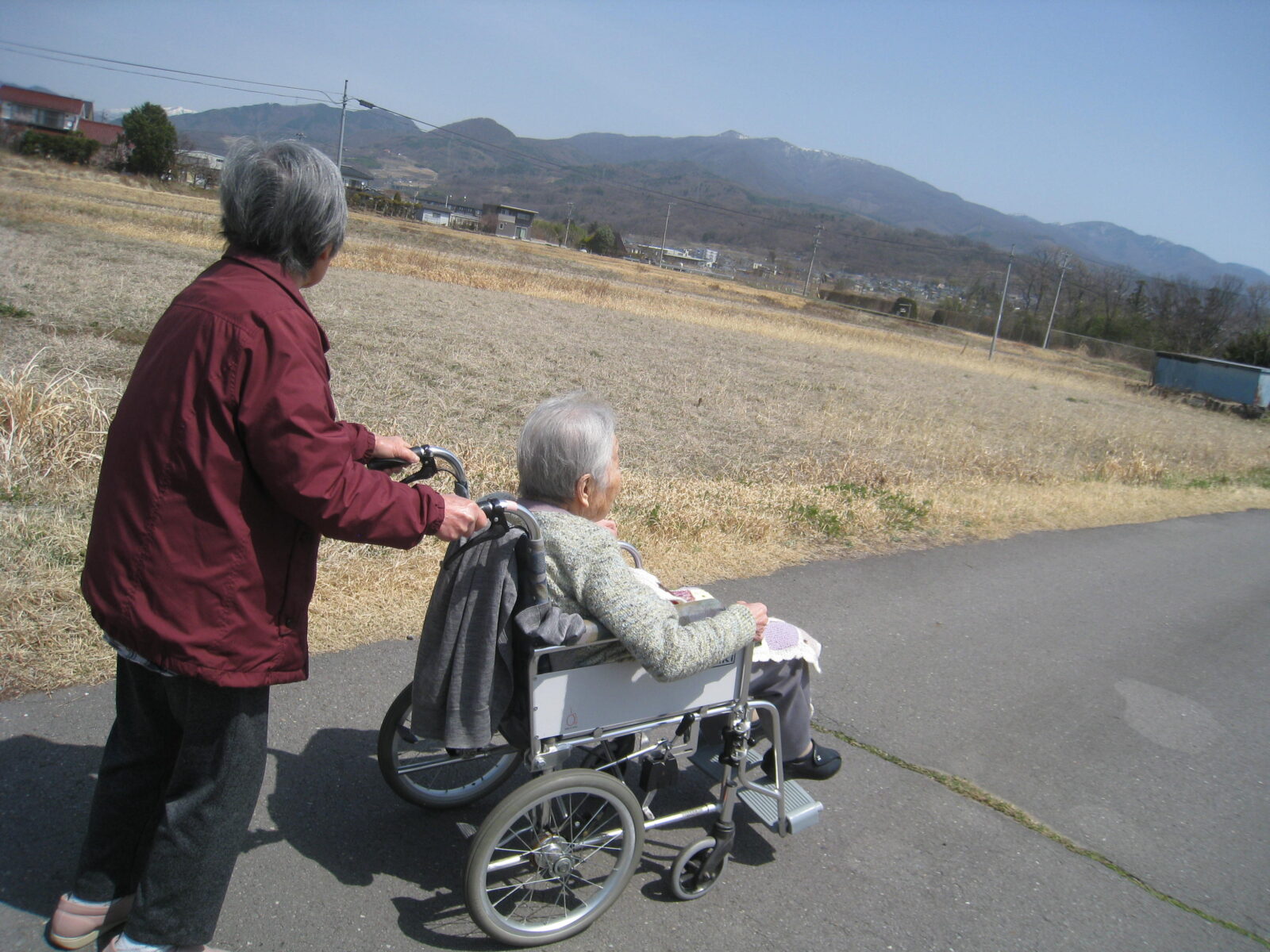 散歩日和が続きます