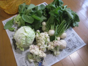 お野菜をいただきました