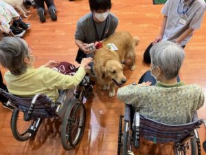 🐶可愛い動物たちに癒されました！🐈🐰