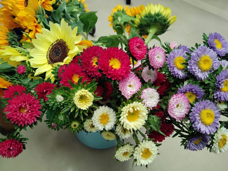 たくさんの夏の花をもらったので、利用者さんに生けていただきました。〜ひまわり・菊〜