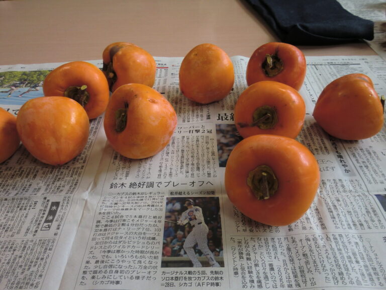 柿剥き職人勢ぞろい！！デイサービス干柿作りの巻