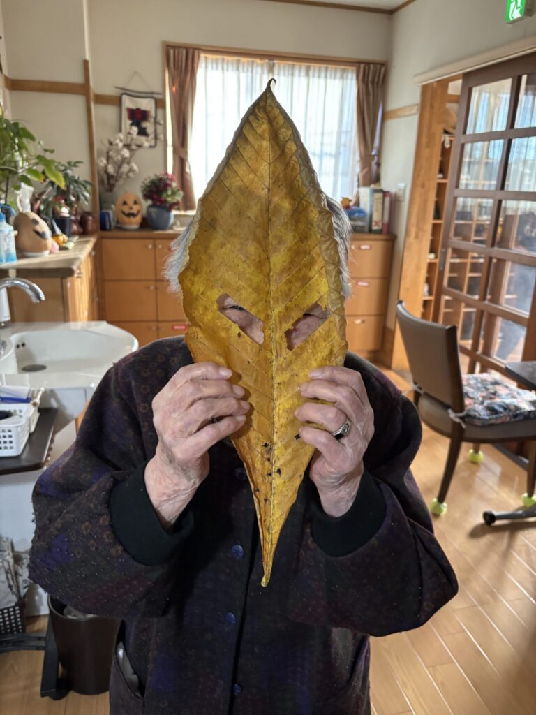 🍁秋の彩りを感じて——紅葉狩り外出レク🍵