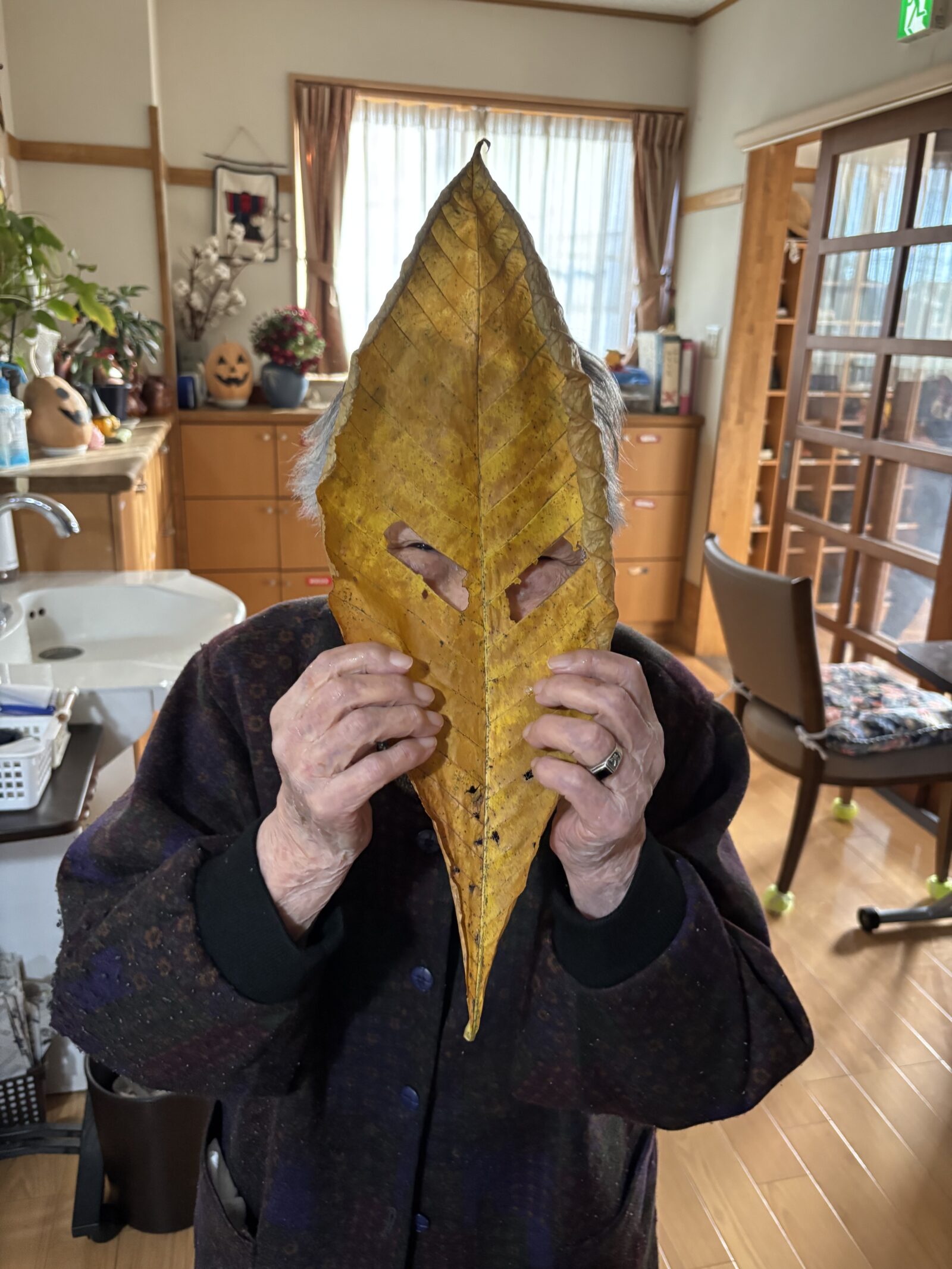🍁秋の彩りを感じて——紅葉狩り外出レク🍵