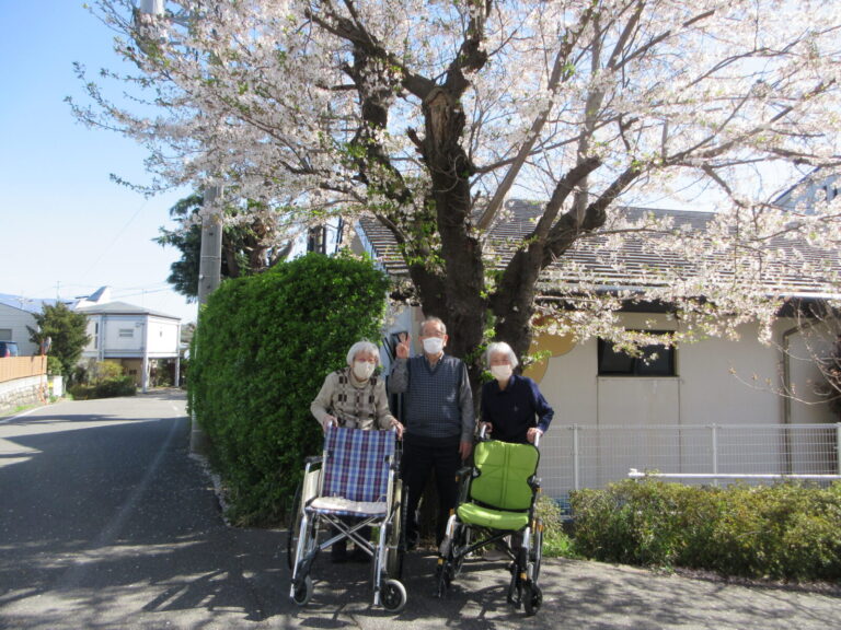 お花見に行ってきました