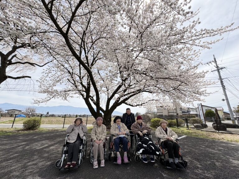 今年も綺麗な桜を見に行ってきました！