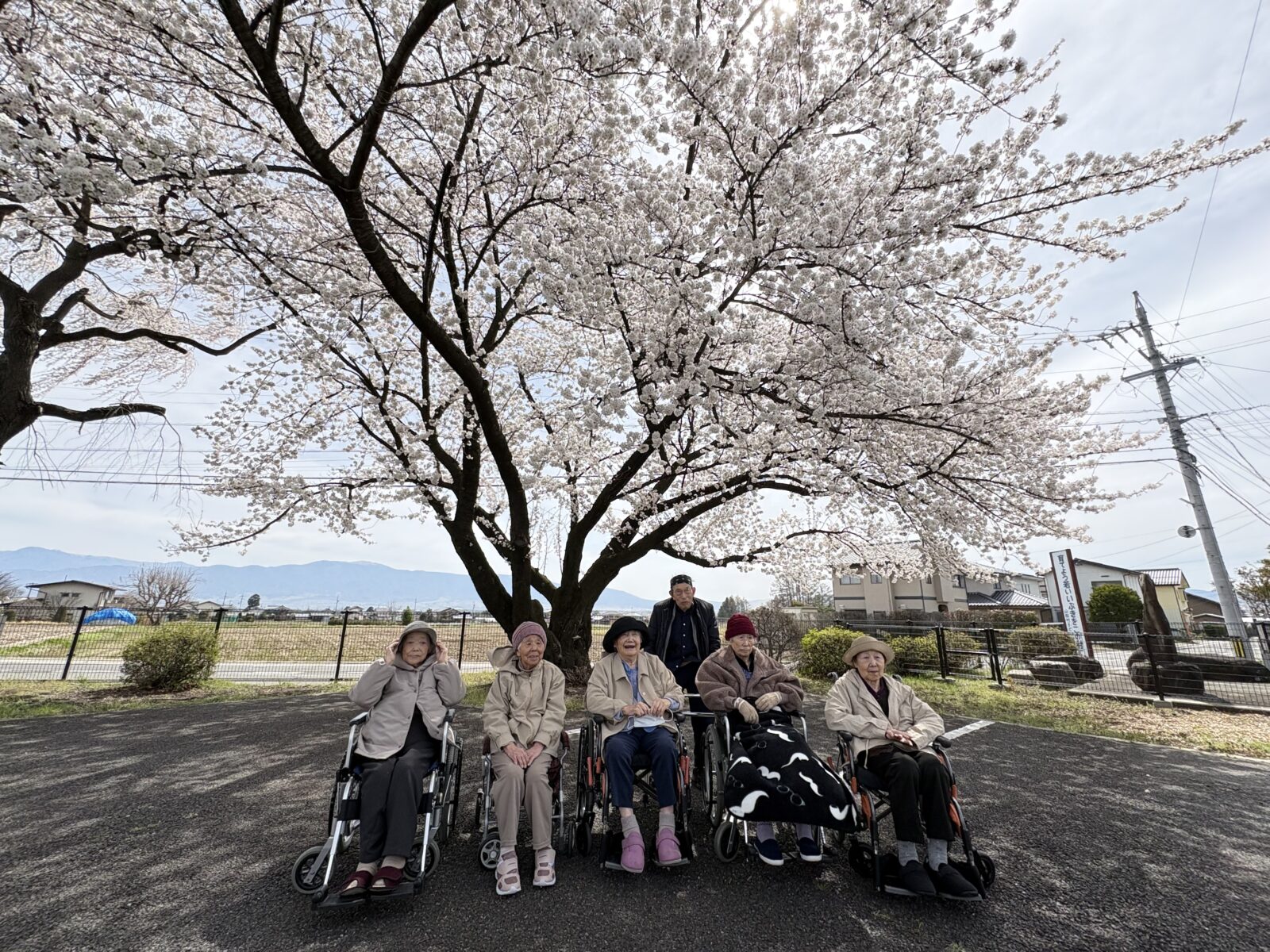 今年も綺麗な桜を見に行ってきました！