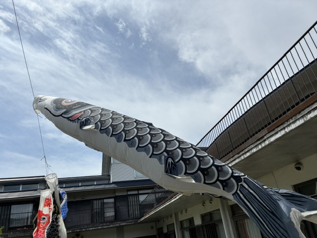 鯉のぼりが空を舞う