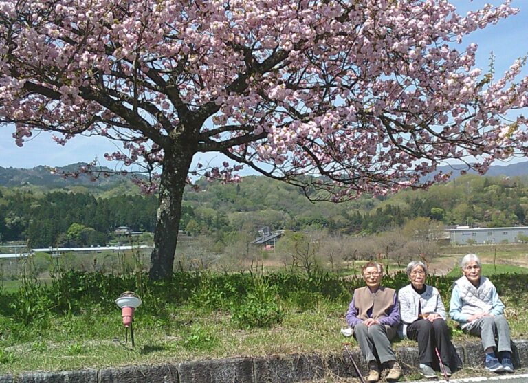 お花見に出かけました！
