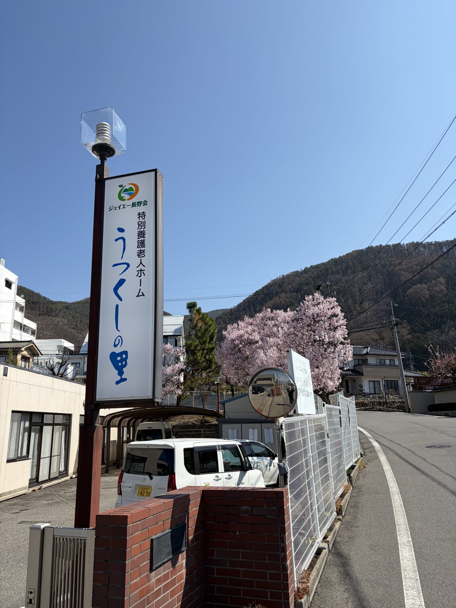 春の陽気に包まれてお花見へ🌸