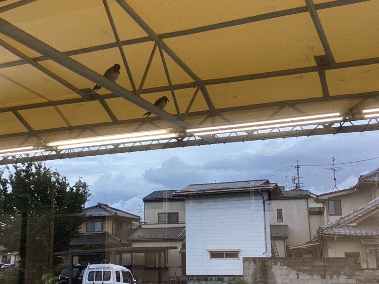 今年も来ました!!