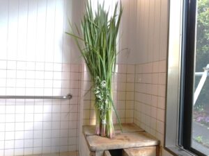 菖蒲湯で1年の健康を祈願しました
