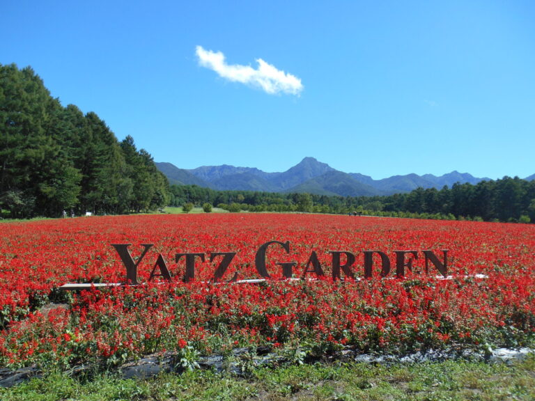 デイサービス秋の遠足✿お花畑を見に行ってきました